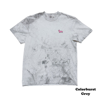 Signature Series Summer Set (Shots + Top) - Multiple Coats + Colors
