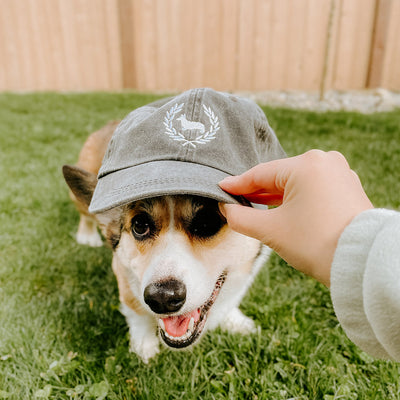 "NEW" CG Corgi Varsity Baseball Hat