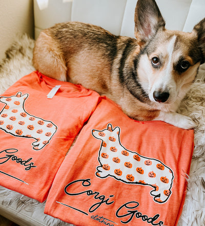 CG Signature Series Pumpkin Print Short Sleeve Tee Shirt