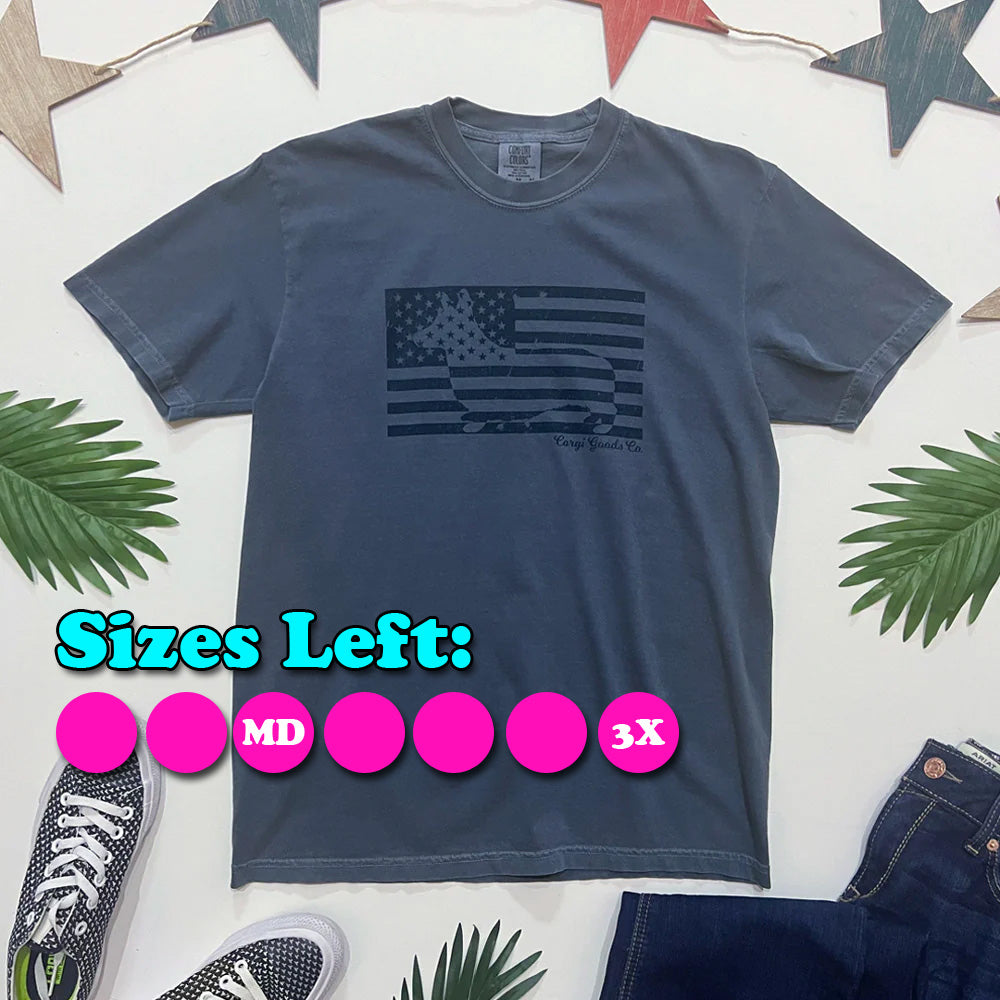 Corgi Flag Short Sleeve Tee Shirt