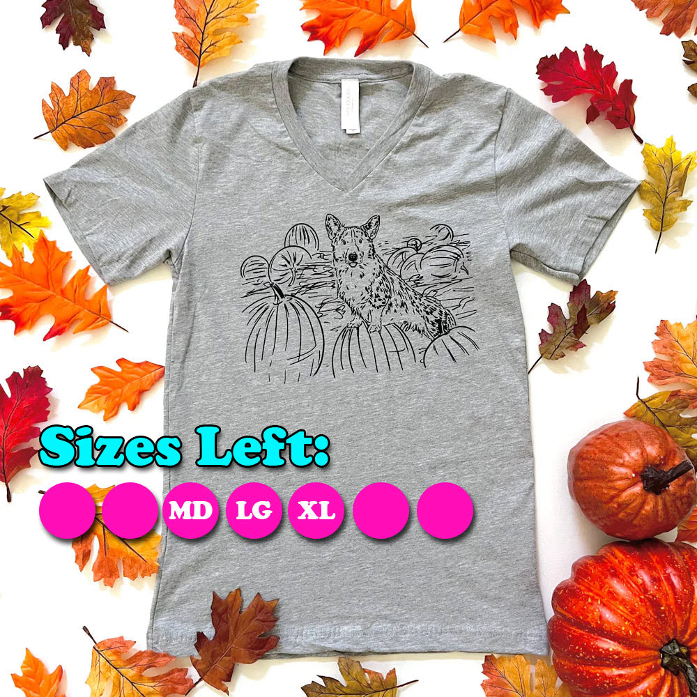 CG Corgi Pumpkin Patch V-Neck Tee Shirt