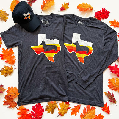 CG Space City Texas Corgi Hats