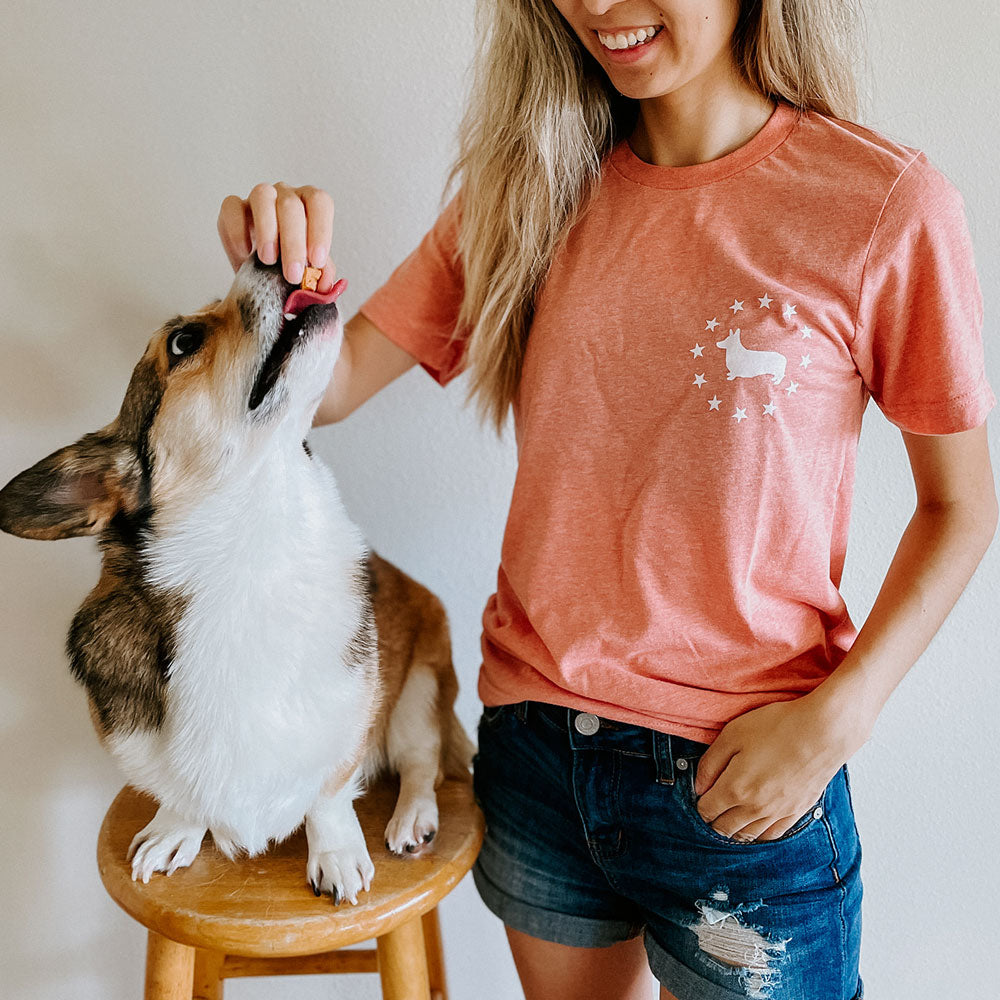 Classic Stars Sunset Short Sleeve Tee Shirt