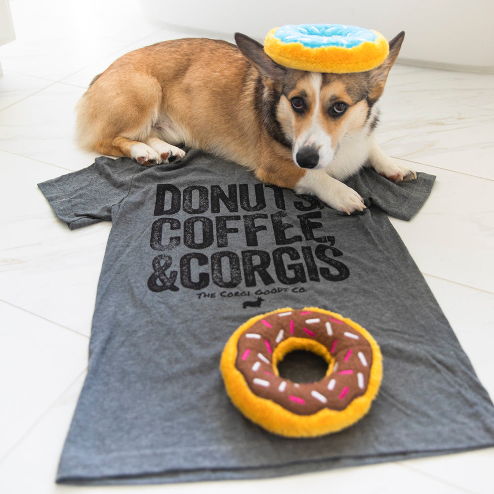 Corgi essentials best sale