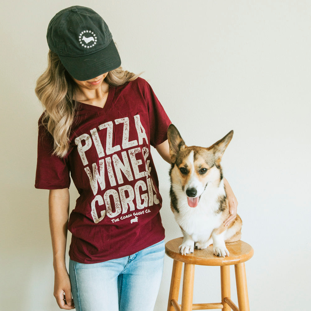 Corgi Friday Plans V-Neck Short Sleeve Tee Shirt