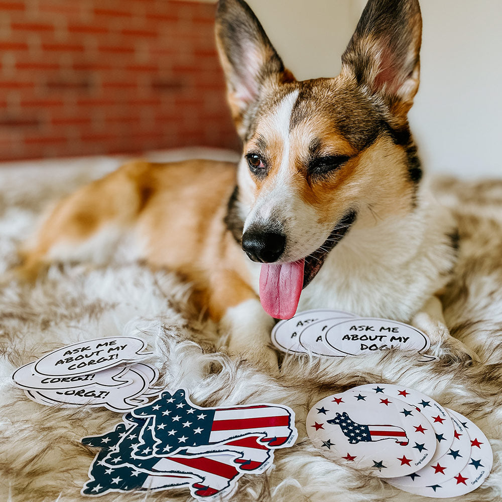 Corgi USA Flag Sticker 2-Pack