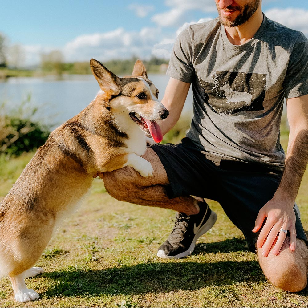 Washington State Corgi Short Sleeve Tee